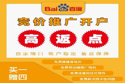 百度竞价公司运营策略：成功案例解析
